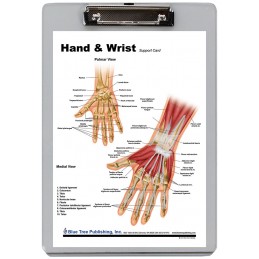 Hand and Wrist Dry Erase Clipboard