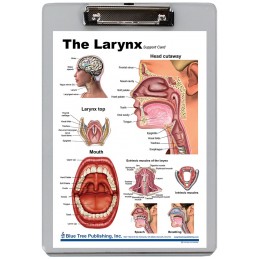 Larynx Dry Erase Clipboard front