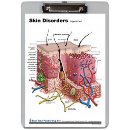 Skin and Skin Disorders Dry Erase Clipboard front