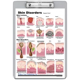Skin and Skin Disorders Dry Erase Clipboard back