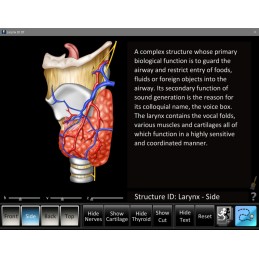 SLP 5 App Computer Software Set - Larynx ID