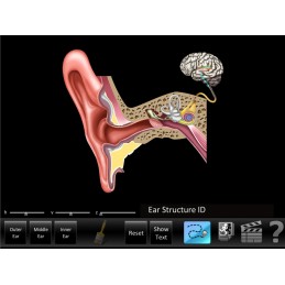 Hearing 6 App Computer Software Set - Ear ID