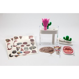 SLP Larynx and Cactus Humidifier Set includes