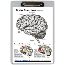 Brain Disorders Dry Erase Clipboard front