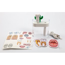 Tooth and Cactus Humidifier Set contents