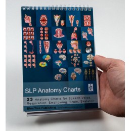 SLP Anatomy Flip Charts cover view