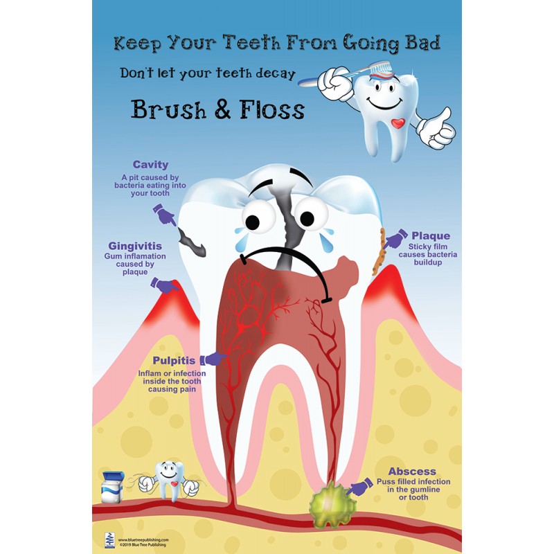 Brush and Floss Large Poster