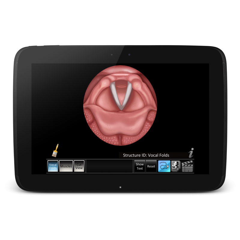 Vocal Folds ID Mobile App