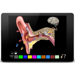 Hearing Anatomy Health Fair Mobile App