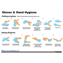 Gloves and Hand Hygiene Chart front