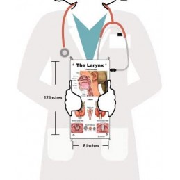 Larynx Small Poster