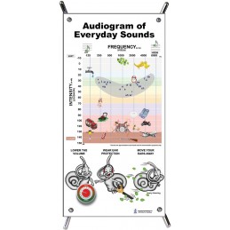 Audiogram Small Poster