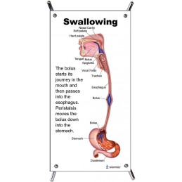 Swallowing Small Poster