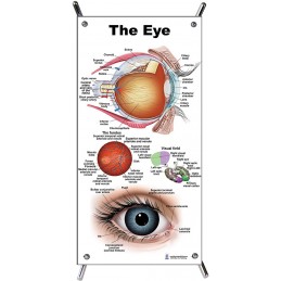 Eye Small Poster with stand