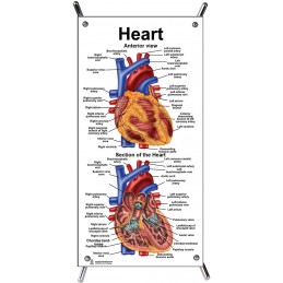 Heart Small Poster with stand