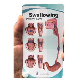 Swallowing Anatomy Pocket Charts