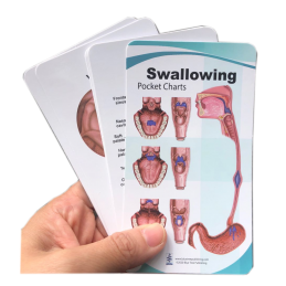 Swallowing Anatomy Pocket Charts