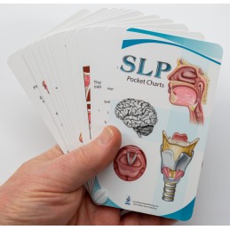 SLP Pocket Chart