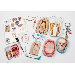Dentist Gift Box 03