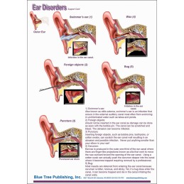 Hearing Computer Software and Chart Set - Ear Disorders Anatomical Chart card one back