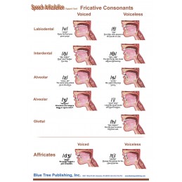 SLP Computer Software and Chart Set - Speech Articulation Anatomical Chart card two back
