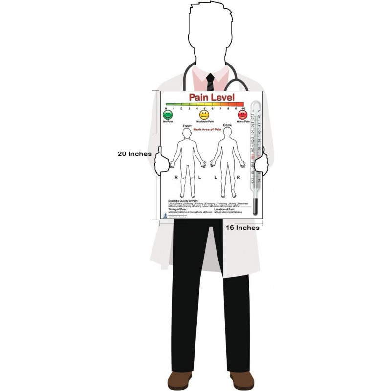 Speech Articulation Software with Charts Set