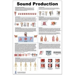 Sound Production Large Poster