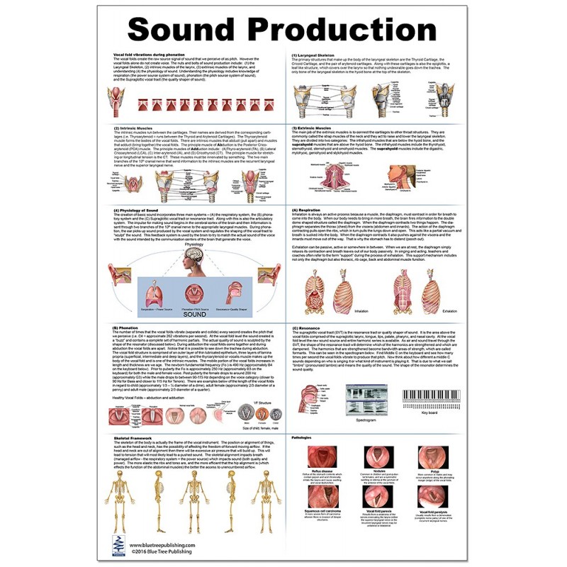 Sound Production Large Poster