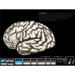 Brain Computer App Flip Charts Tablet Set - Cerebrum ID