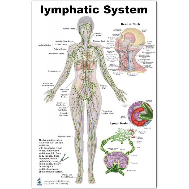 Brain Computer App Flip Charts Tablet Set