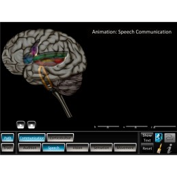Brain Computer App Flip Charts Tablet Set - Pathway Tracts ID