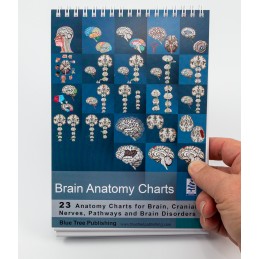 Brain Computer App Flip Charts Tablet Set - Brain Flip Chart