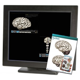 Brain Computer Apps Pocket Charts Tablet Set