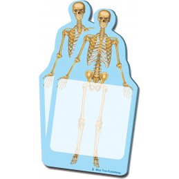 Skeleton Stick Note 2 pack