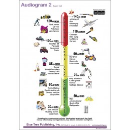 Audiogram Daily Noise Anatomical Chart back