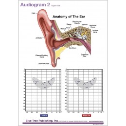 Audiogram Daily Noise Anatomical Chart front