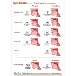 Speech Articulation Anatomical Chart card two back