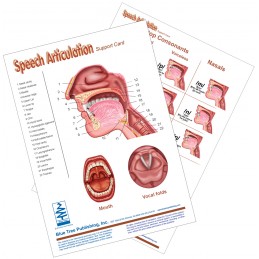 Speech Articulation Anatomical Chart