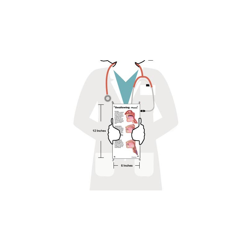 SLP Anatomy Flip Charts Five Chart Set