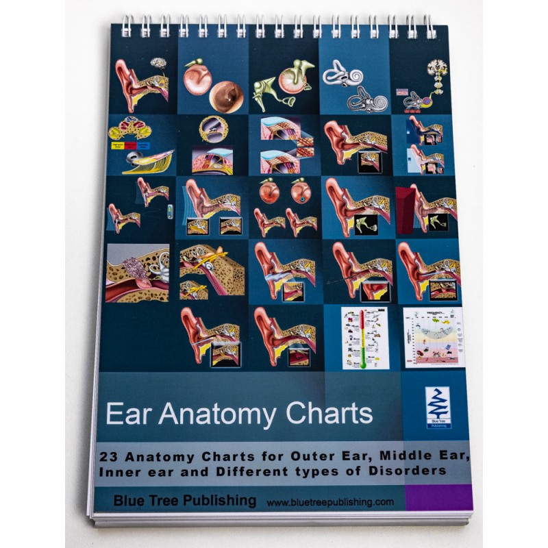 Ear Anatomy Flip Charts