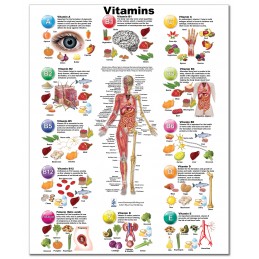 Vitamins Medium Poster