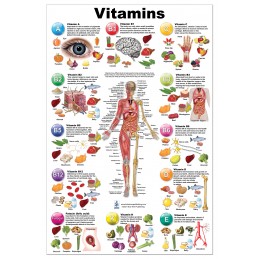 Vitamins Large Poster