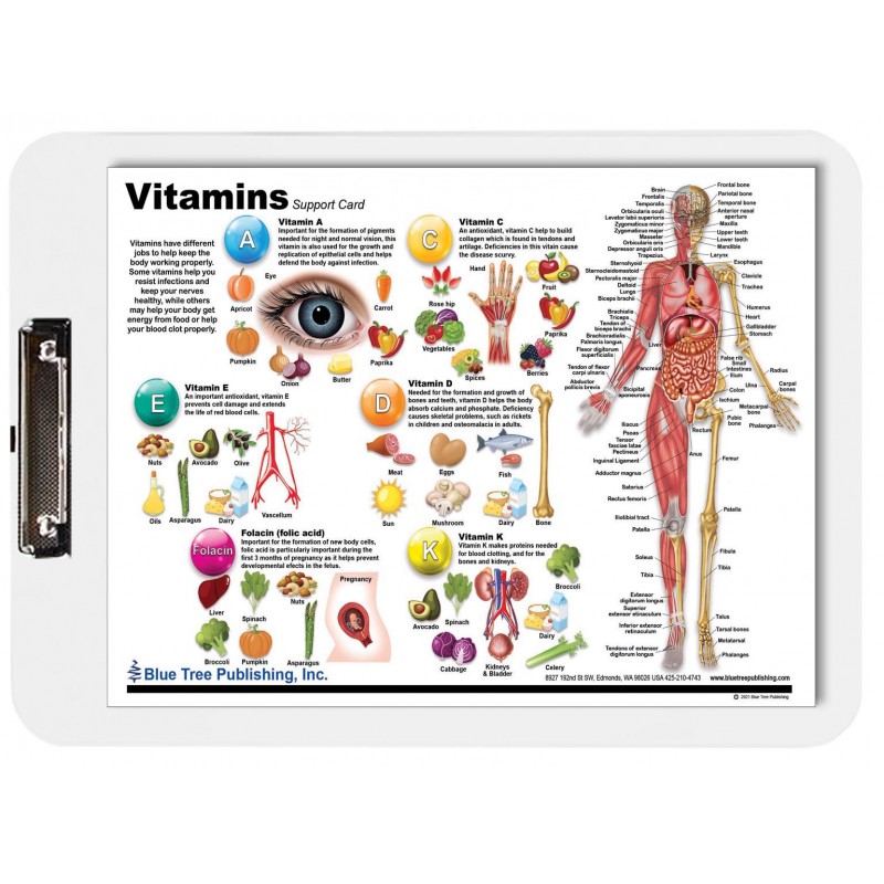 Vitamins Dry Erase Clipboard front