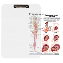 Pregnancy Dry Erase Clipboard card insert