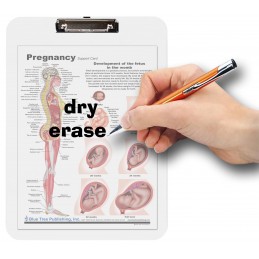 Pregnancy Dry Erase Clipboard dry erase
