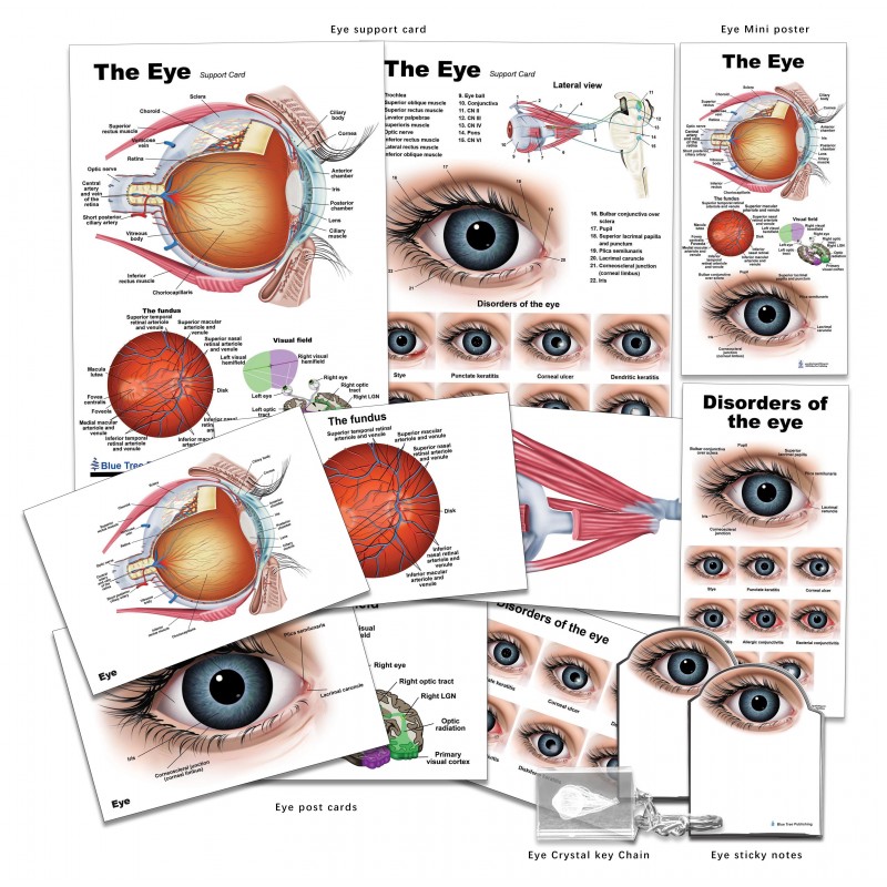Eye Education Set