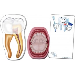 Dentist Tooth Mouth Brush Stick Note Set