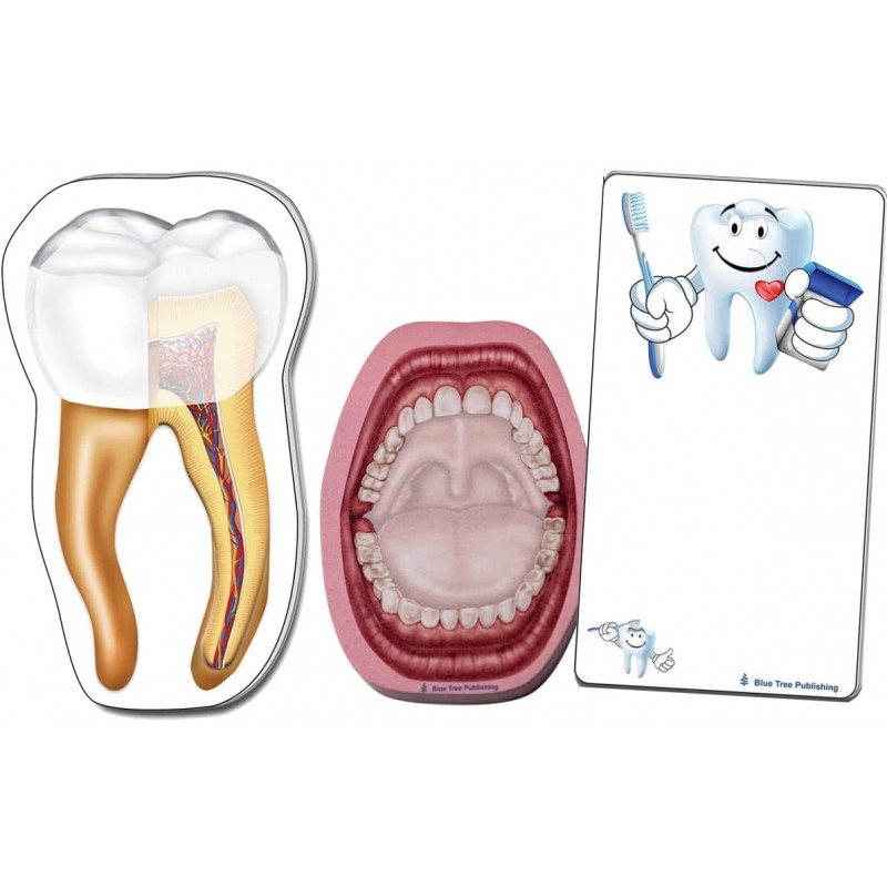 Dentist Tooth Mouth Brush Stick Note Set