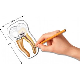 Tooth Stick Notes size