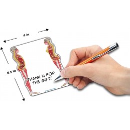 Anatomy Stick Note size